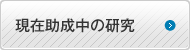 現在助成中の研究